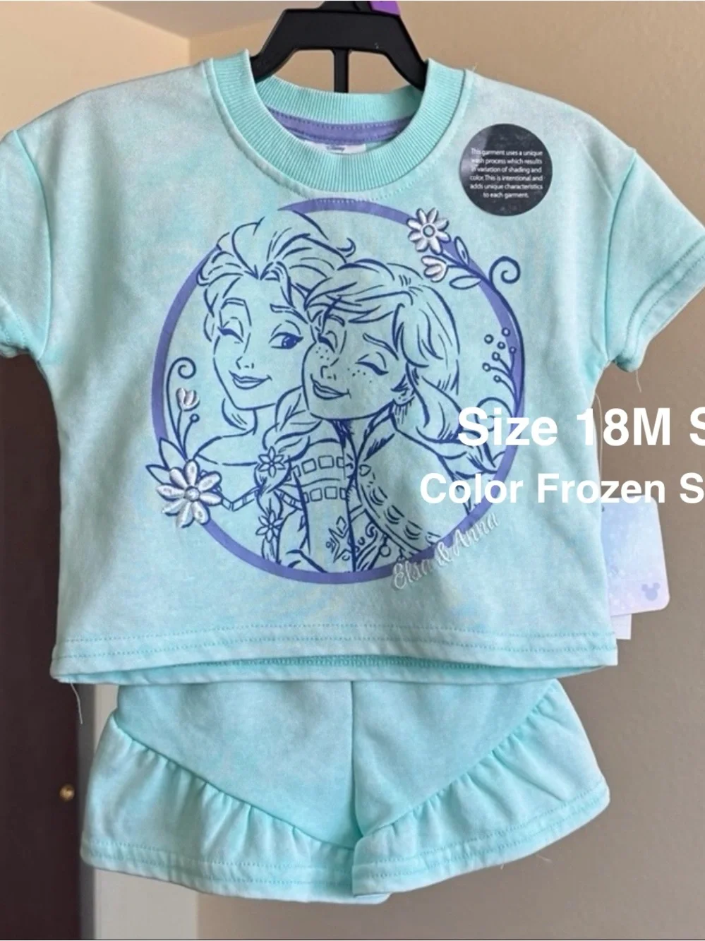 Frozen Toddler Girls' Short Sleeve Graphic Tee and Ruffle Shorts Set,18M